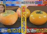 《柿子白粉的祕密》看起來像是農藥或是發霉了?內行人才會專挑果粉吃…… 《柿子白粉的祕密》看起來像是農藥或是發霉了?內行人才會專挑果粉吃……
