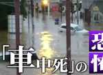 《恐怖的車中死》洪水死者半數死在車子裡?人們都不知道開車涉水超危險…… 《恐怖的車中死》洪水死者半數死在車子裡?人們都不知道開車涉水超危險……