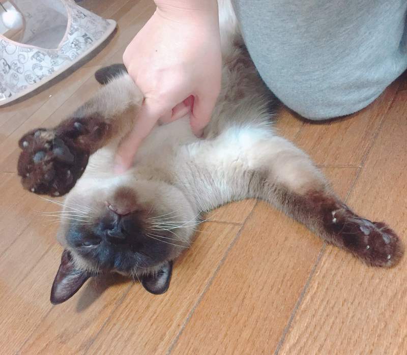 圖片3 圖片3