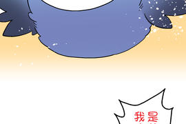 小鸚鵡飼養日記 第62話 小鸚鵡飼養日記 第62話