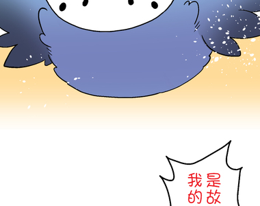 小鸚鵡飼養日記 第62話