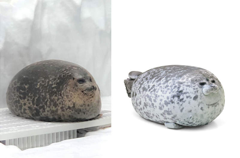 圖片2 圖片2