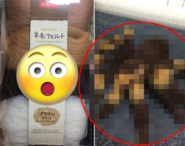 哇哩勒！傻眼《可愛狗狗羊毛氈》結果做成了一隻讓你意想不到的生物