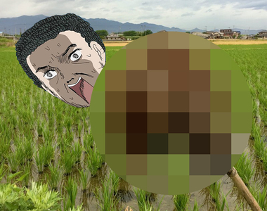 推特話題《不用鄉下兩個字來表現鄉下的方法》田野間的人頭稻草人這是要嚇人還是要嚇鳥？