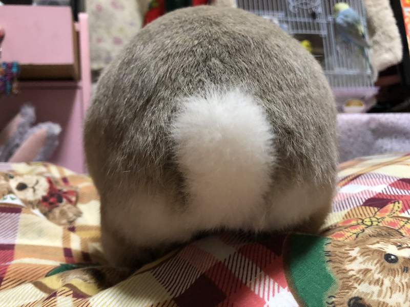 圖片2 圖片2