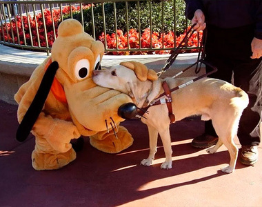 《迪士尼樂園發生的那些可愛小事》真的是一個充滿幻想跟夢想的地方 ❤