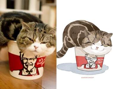 這IG好可愛《網路梗圖插畫化》爆笑照片變成插畫後出現淡淡萌感♥