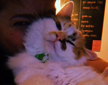 《寵物為你做過最感人的事》看完好想回去抱我家狗狗QQ