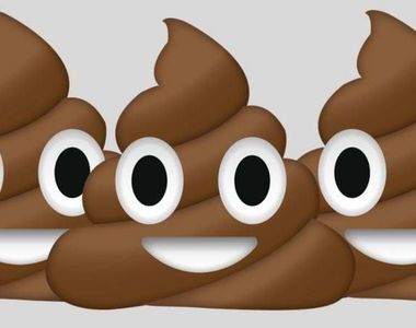 《徵求捐大便》協助醫學研究  你的大便是好的大便嗎？