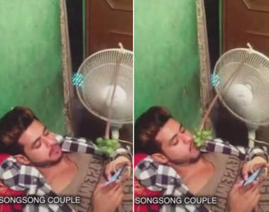 讓我大開眼界的《各行各業神人表現》原來懶到一個境界是可以用電風扇來餵你吃葡萄