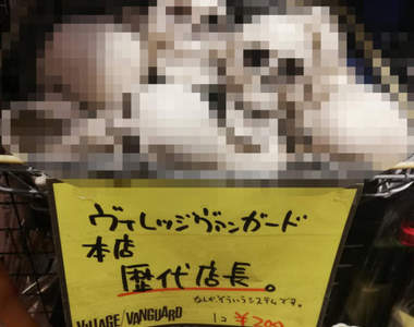 趣味書店驚見《歷代店長頭骨》成堆販賣 原來這就是所謂的終身雇用啊ww(誤)