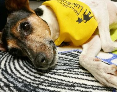 書蟲笑得最開心《各種圖書館驚喜》87分但是可以更高