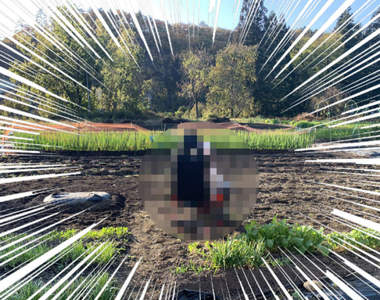 傑出的一手《壞掉的電競椅再利用法》不不！其實這是次世代的VR農場遊戲畫面