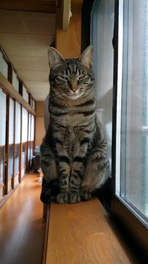 圖片2 圖片2