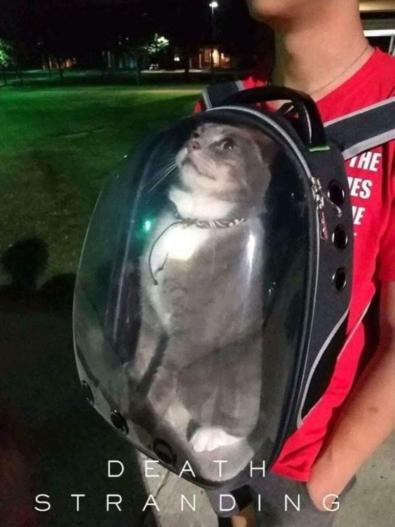 圖片3 圖片3