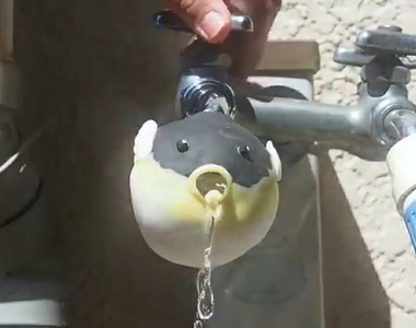 【有片】推特超謎流行《吐水的河豚》被做成《河豚水龍頭》了～也是謎之想要啊XD