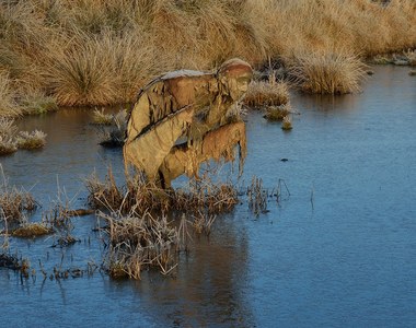 第一眼嚇死《沼澤怪物出沒》 我是看到河童還是咕嚕？