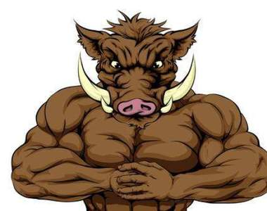 地方的老翁戰起來《種田遇到豬》92歲的老農夫某天迎來了一場意想不到的戰鬥