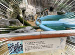 動物園驚見《混入企鵝群的動物》大概只有牠自己覺得沒人發現ww 動物園驚見《混入企鵝群的動物》大概只有牠自己覺得沒人發現ww