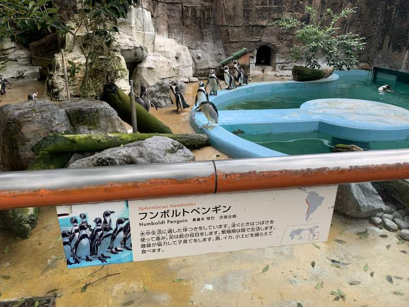 圖片2 圖片2