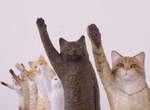 High Five《可以擊掌的貓雕刻》擺在家門口每天出門都為你打氣❤ High Five《可以擊掌的貓雕刻》擺在家門口每天出門都為你打氣❤