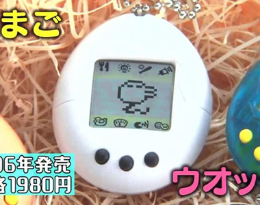 《開運鑑定團新奇寶物》爸爸收藏大量稀有電子雞 看到鑑定價格妻女興奮想賣錢……