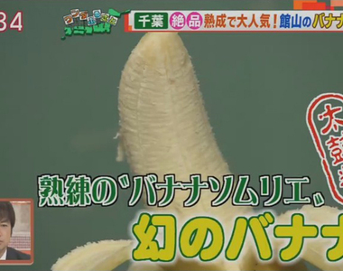 《日本的香蕉專賣店》整家店只賣香蕉可以生存嗎？專家大讚的夢幻香蕉竟是台灣產……