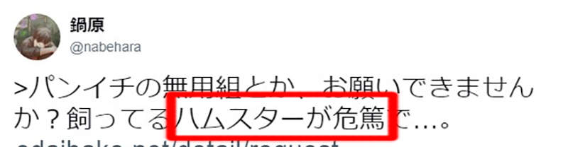 《動畫迷求繪師畫畫》父母弟妹病危跪求 像學校請假一樣全家都死一遍了…… - 圖片9