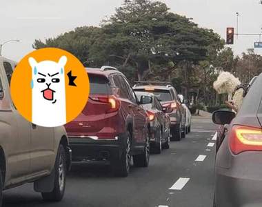 馬路萌景《在車窗外炫耀的狗》咬著OO跟隔壁台車的狗各種炫耀w