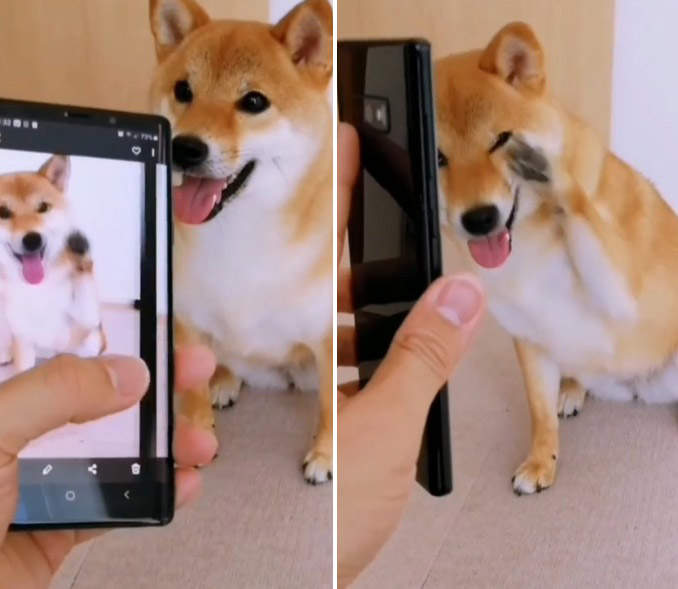 圖片1 圖片1