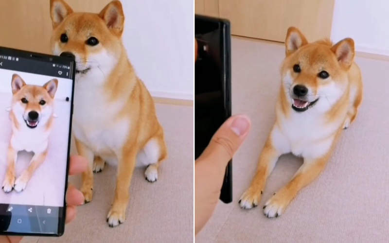 圖片2 圖片2