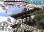 《日本古城丸岡城》天守驚爆不是日本最古老 觀光宣傳都要大改特改了…… 《日本古城丸岡城》天守驚爆不是日本最古老 觀光宣傳都要大改特改了……