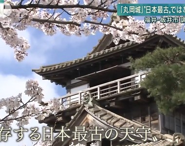 《日本古城丸岡城》天守驚爆不是日本最古老 觀光宣傳都要大改特改了……