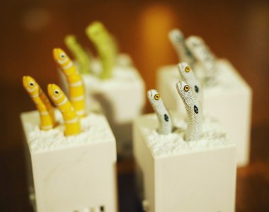 【有片】新開發《可動花園鰻扭蛋》可以無限延伸～拚創造出一大片花園鰻