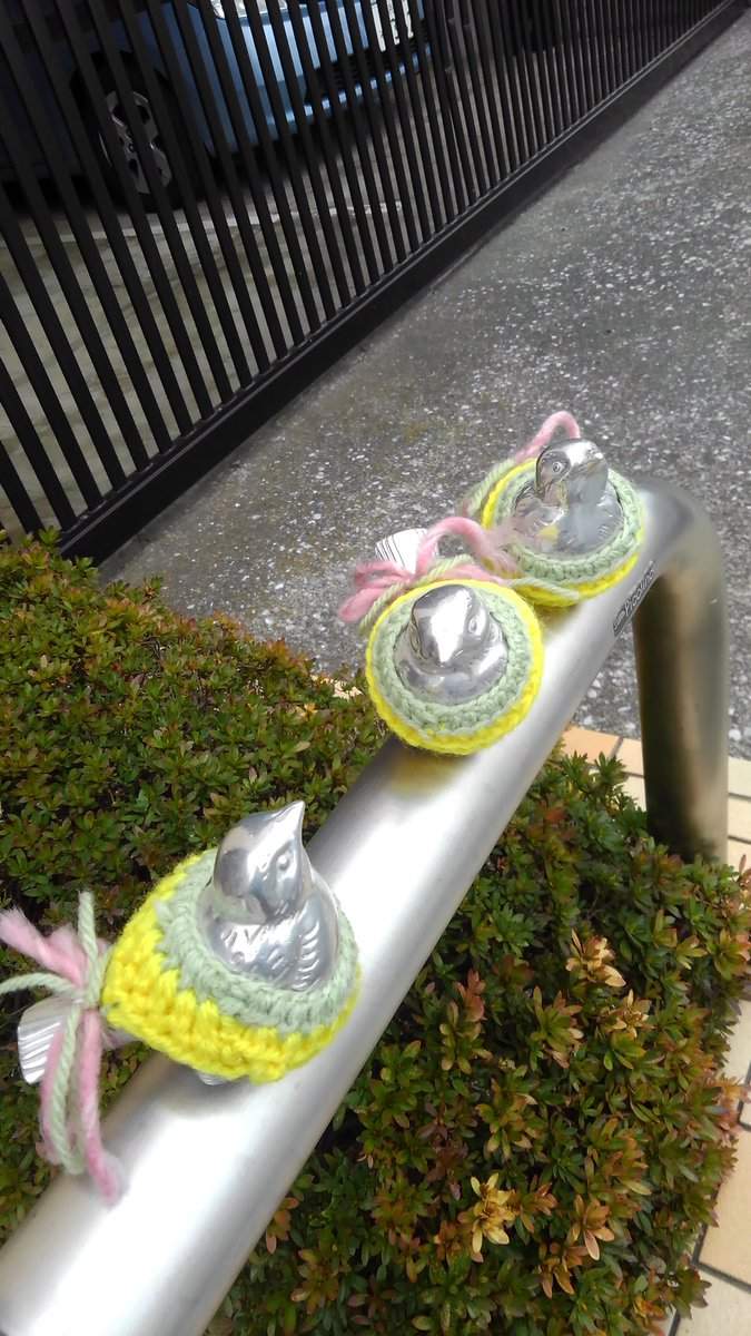 圖片15 圖片15