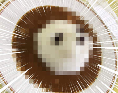 到底是海豹咖哩飯還是《獅子咖哩飯》千葉市動物園讓人爭論不休的趣味料理