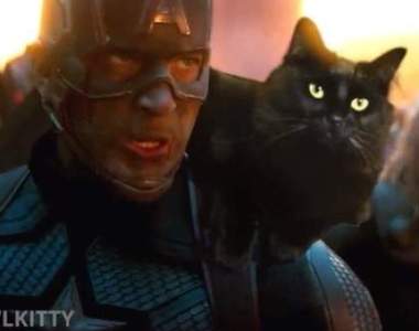 喵的存在感《在各種電影把愛貓PS進去》各種亂入各種可愛這樣的惡搞很可以