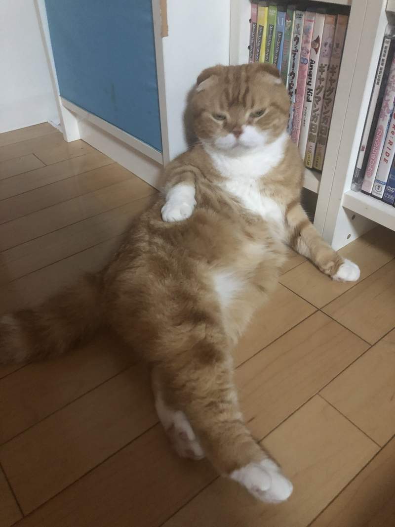 圖片2 圖片2