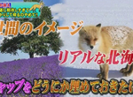 《北海道民吐槽觀光客》每個人都擅自幻想又擅自失望 大自然才沒有想像的那麼美好…… 《北海道民吐槽觀光客》每個人都擅自幻想又擅自失望 大自然才沒有想像的那麼美好……