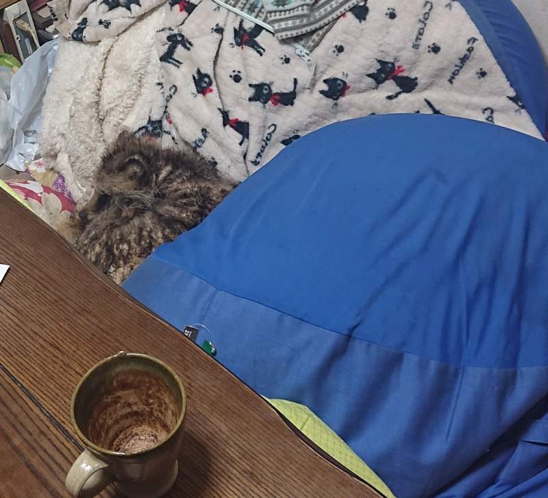 圖片2 圖片2
