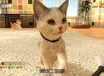 【有片】Switch《小小伙伴 - 狗狗 & 貓貓 -》超萌寵物模擬養成遊戲,繁中官網釋出更多情報 【有片】Switch《小小伙伴 - 狗狗 & 貓貓 -》超萌寵物模擬養成遊戲,繁中官網釋出更多情報