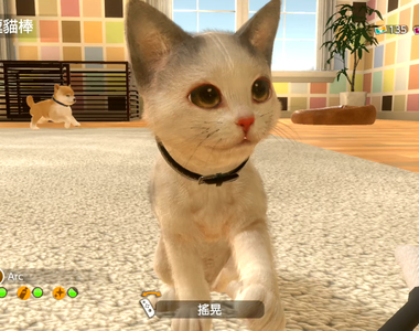 【有片】Switch《小小伙伴 - 狗狗 & 貓貓 -》超萌寵物模擬養成遊戲，繁中官網釋出更多情報