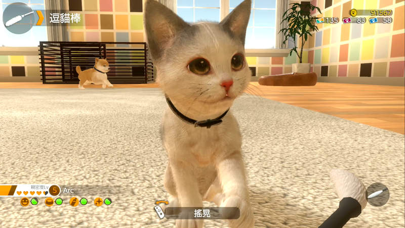 圖片1 圖片1