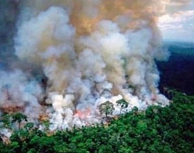 《亞馬遜雨林森林大火》引發關注 但網路瘋傳照片 都不是來自這次火災...