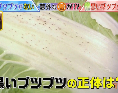 《白菜上的小黑點》醬菜老店呼籲千萬別慌張 那是營養成分絕不是壞掉……