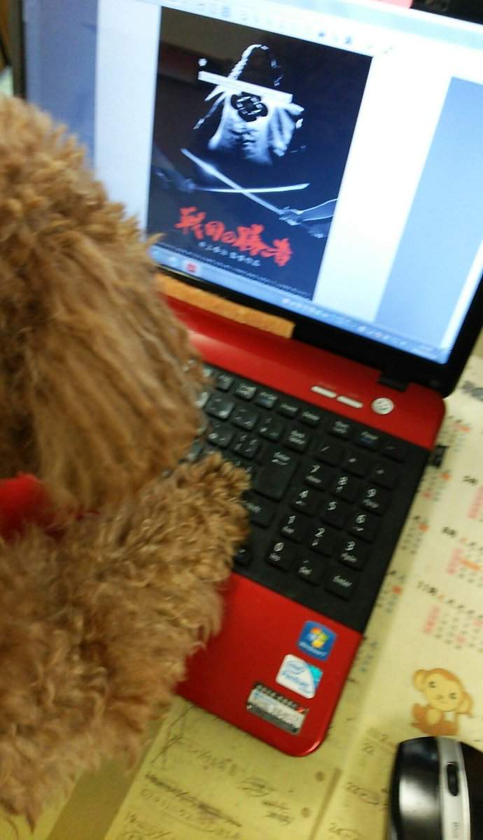 《职场里的狗主管》上班有了狗主管的陪伴,工作效率都加倍❤ - 图片8 《职场里的狗主管》上班有了狗主管的陪伴,工作效率都加倍❤