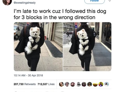 2018《溫馨故事回顧》讓人覺得暖洋洋(❛◡❛✿)希望2019也是如此