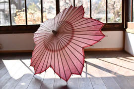 絕美《櫻花和傘》讓人瞬間被美哭❤日本最頂級「手漉和紙」傳統工藝許你一季粉紅色春日浪漫