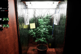 《毒梟模擬器Drug Dealer Simulator》體驗種大麻、運毒，別被條子盯上了，小心黑吃黑…