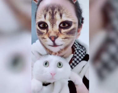 傑出的一手《用貓臉特效把自己變成貓臉》喵星人傻眼的表情怎麼樣都看不膩XD